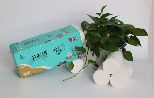 1200g快猫成人APP免费江南人家长条实芯卷纸10卷